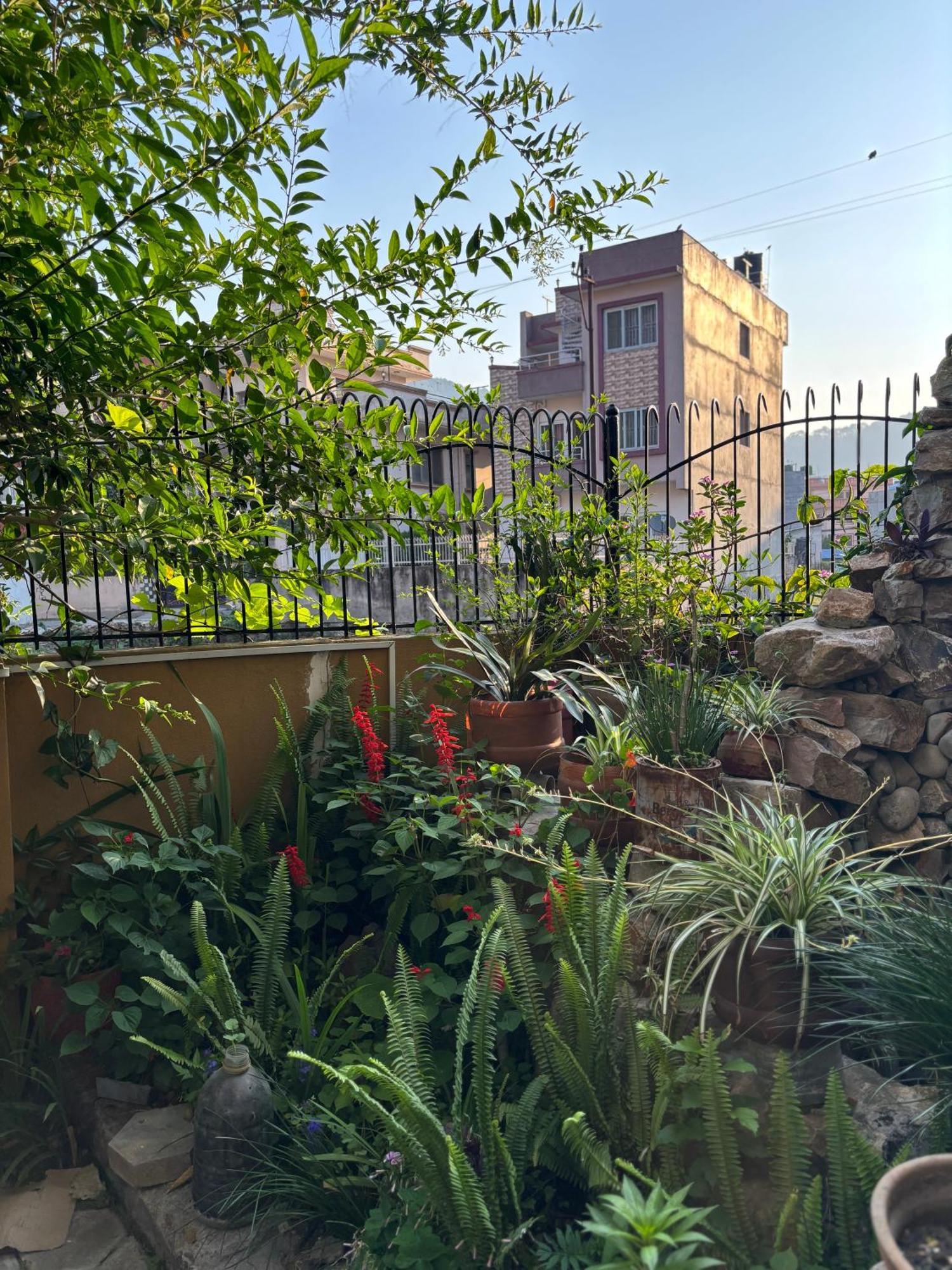 Mums Homestay & Studio Apartments Катманду Экстерьер фото